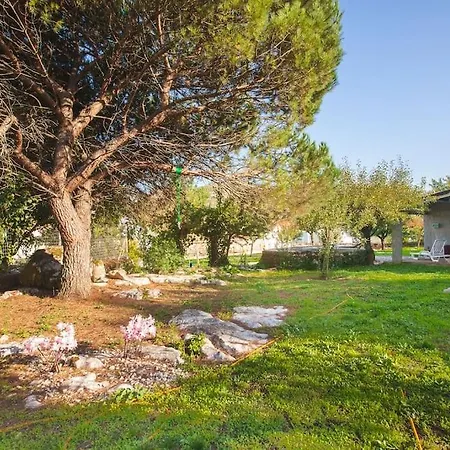 Quinta Da Bonanca, Charming Rustic Houses Алвадуш