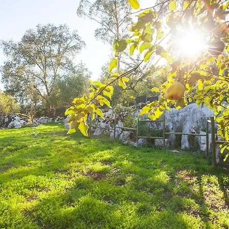 Quinta Da Bonanca, Charming Rustic Houses *