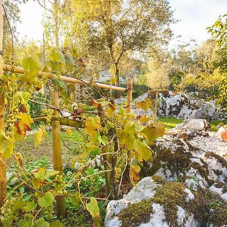 Quinta Da Bonanca, Charming Rustic Houses Дом отдыха
